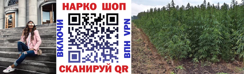 Купить закладку Великий Устюг Галлюциногенные грибы  МЕФ  Бошки Шишки  А ПВП 