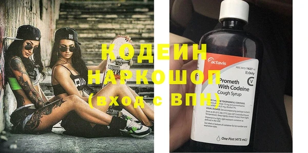 прущие грибы Заволжск