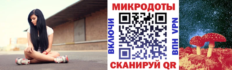 закладки  Великий Устюг  Галлюциногенные грибы мицелий 