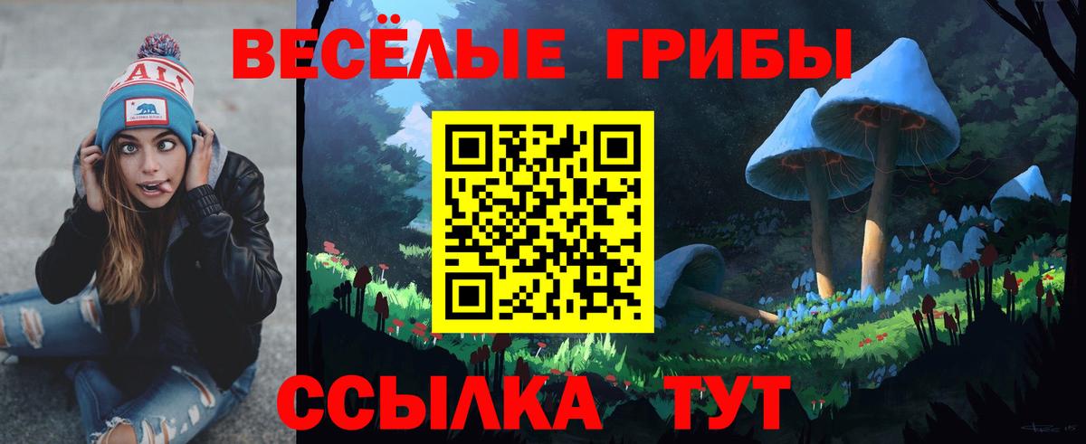 Галлюциногенные грибы Psilocybe  Вход с VPN  где купить наркоту  Великий Устюг 