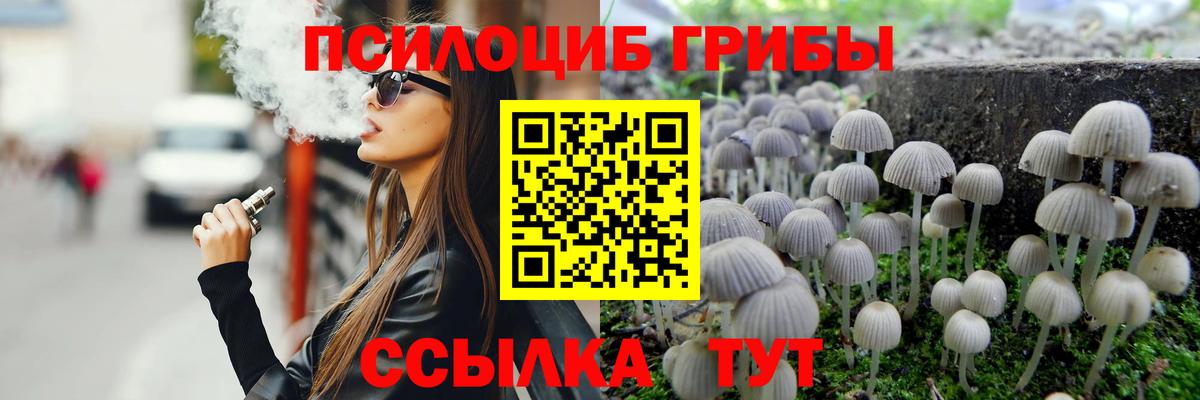 Галлюциногенные грибы Magic Shrooms Великий Устюг
